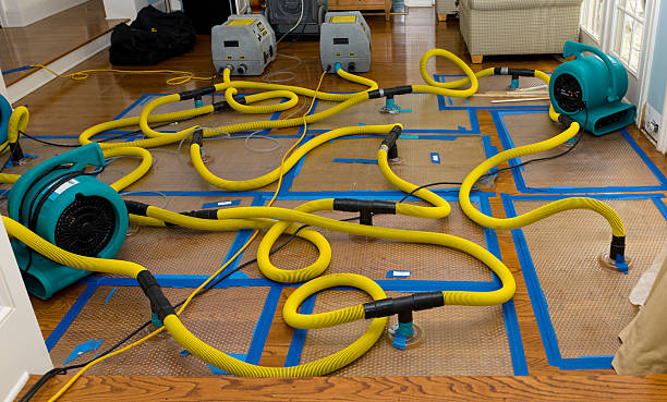 Professional Water Extraction technician working in Hull, TX